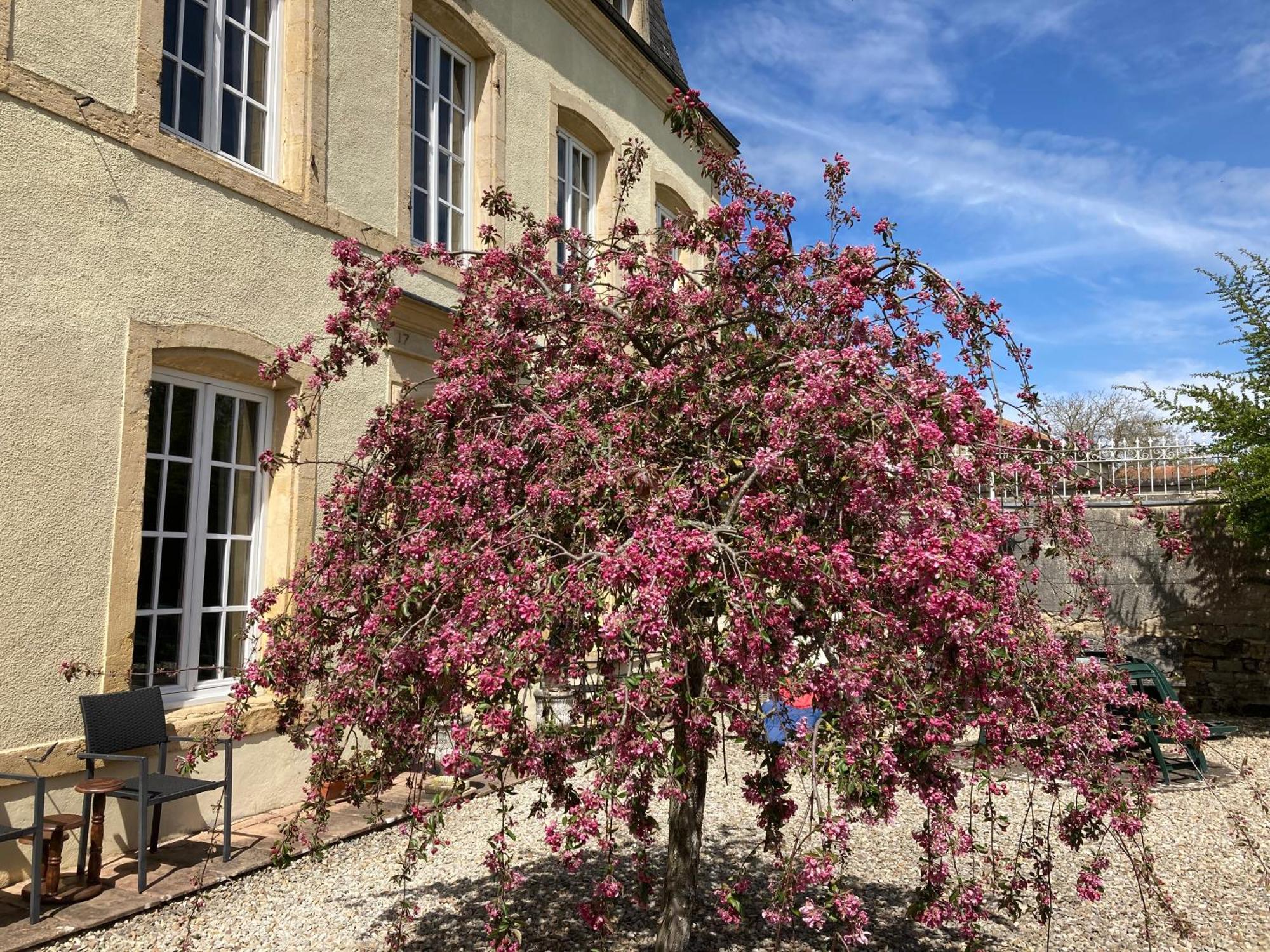 Maison Les Beaux Arts Mouzay  Exterior photo